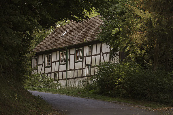 Waldgeborgen -  © Helga Jaramillo Arenas - Fotografie und Poesie / August 2022