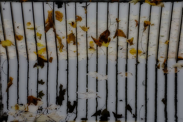 Der Herbst hält mich gefangen - © Helga Jaramillo Arenas - Fotografie und Poesie / November 2017