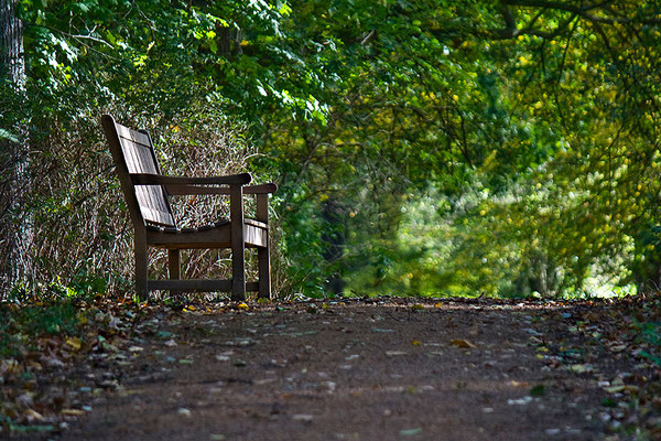 Ruheplatz - © Helga Jaramillo Arenas - Fotografie und Poesie / November 2012