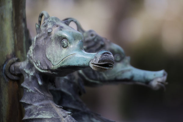 Drachenkinder - © Helga Jaramillo Arenas - Fotografie und Poesie / Februar 2019