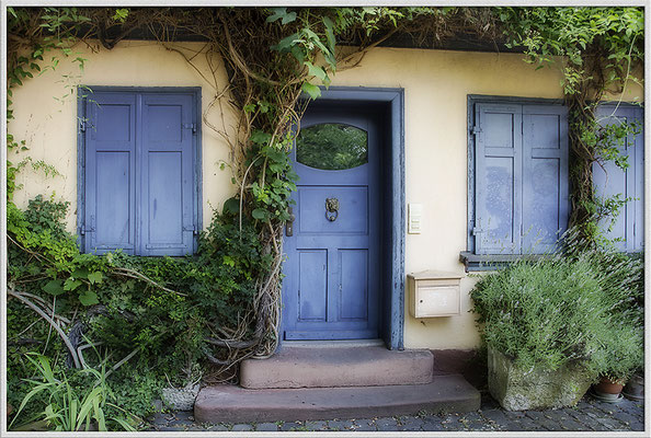 Blau in Grün gebettet / Frankfurt-Höchst - © Helga Jaramillo Arenas - Fotografie und Poesie / Juli 2017