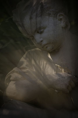 Fänger des Lichtes -  © Helga Jaramillo Arenas - Fotografie und Poesie / November 2022