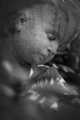 Auf Zukunftssuche -  © Helga Jaramillo Arenas - Fotografie und Poesie / Mai 2021