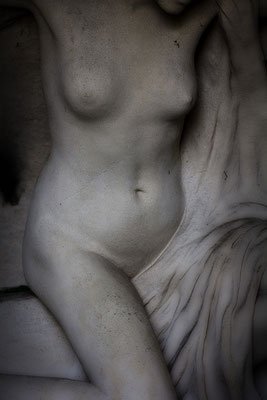 Erwachen - © Helga Jaramillo Arenas - Fotografie und Poesie / September 2018