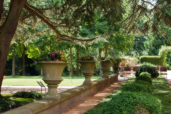 Sonne unter Schattenbäumen / Bad Homburg v. d. Höhe - © Helga Jaramillo Arenas - Fotografie und Poesie / Juli 2015