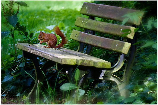 Besetzt - © Helga Jaramillo Arenas - Fotografie und Poesie / Juli 2012