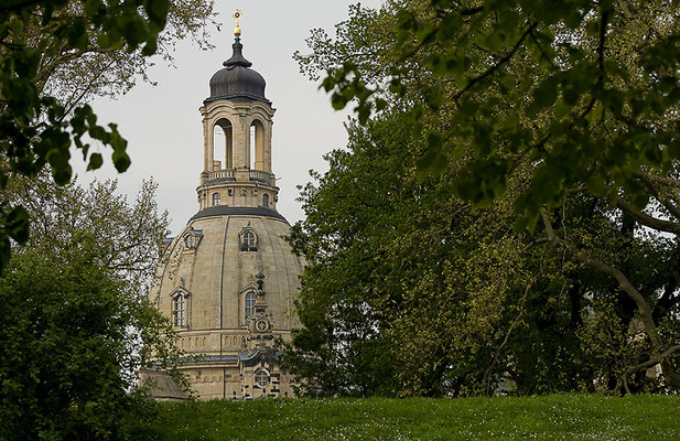 Hervorgelugt / Dresden - © Helga Jaramillo Arenas - Fotografie und Poesie / Mai 2011