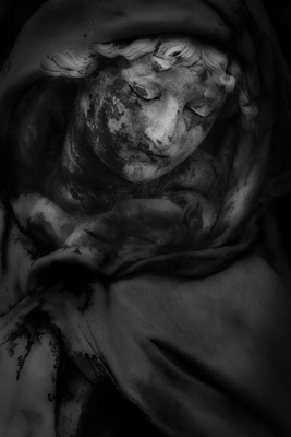 Leid der Erde -  © Helga Jaramillo Arenas - Fotografie und Poesie / Januar 2021