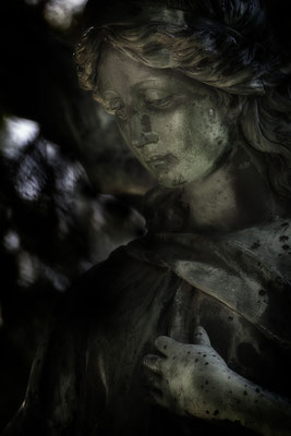 Wissen was ist - © Helga Jaramillo Arenas - Fotografie und Poesie / August 2025