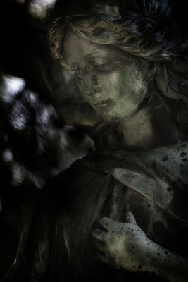 Wissen was ist - © Helga Jaramillo Arenas - Fotografie und Poesie / August 2025