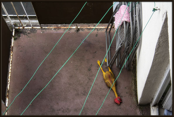 Der Hahn ist tot - © Helga Jaramillo Arenas - Fotografie und Poesie / September 2017