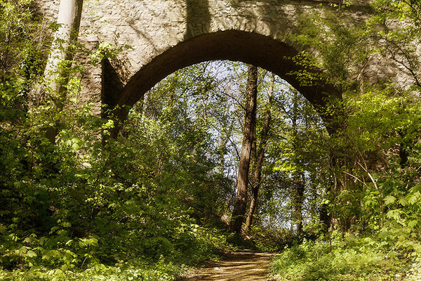 Immerwährende Wege des Glücks - Schloss Auerbach-  © Helga Jaramillo Arenas - Fotografie und Poesie / Mai 2022