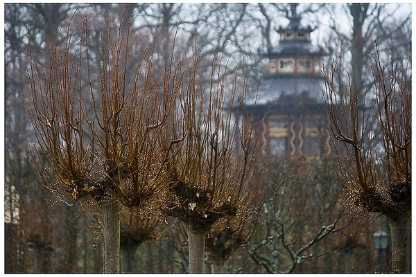 Regentage in der Eremitage / Bayreuth - © Helga Jaramillo Arenas - Fotografie und Poesie / April 2012