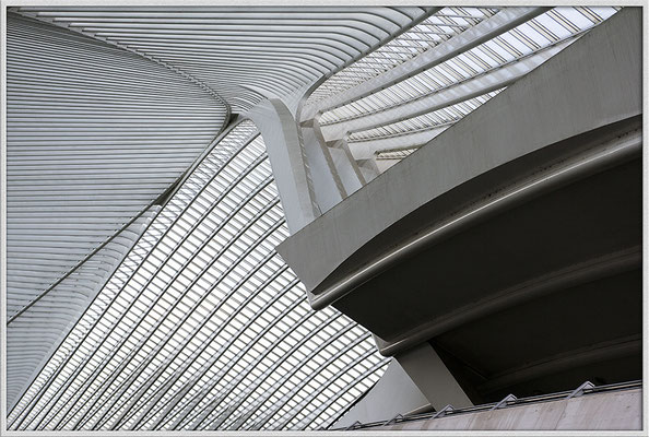 Liége Guillemins - Blick nach oben - © Helga Jaramillo Arenas - Fotografie und Poesie / April 2018