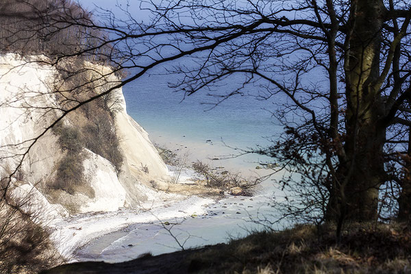 Unendliche Schönheit - Kreidefelsen auf Rügen - © Helga Jaramillo Arenas - Fotografie und Poesie / März 2024