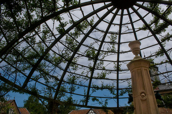 Unter der Laube / Schloß Wolfsgarten, Langen - © Helga Jaramillo Arenas - Fotografie und Poesie / Mai 2012