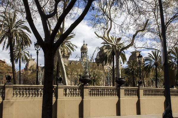 Frühling in Barcelona - © Helga Jaramillo Arenas - Fotografie und Poesie / März 2019