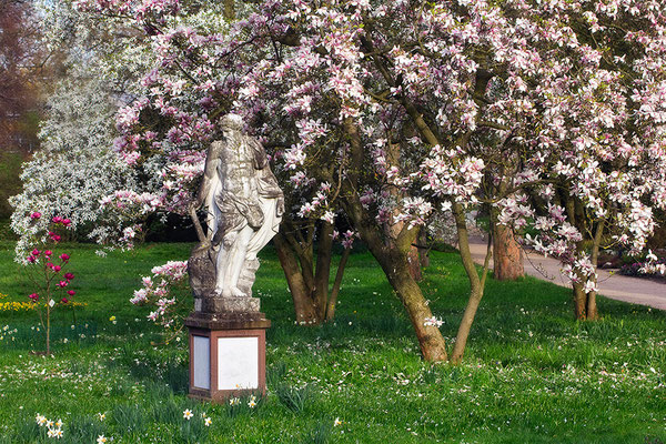 In einem Meer von Blüten - © Helga Jaramillo Arenas - Fotografie und Poesie / April 2015