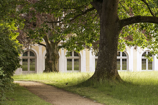 Begleitung - Schloss Wilhelmsbad/Hanau -  © Helga Jaramillo Arenas - Fotografie und Poesie / Oktober 2022