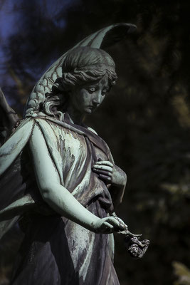 Die Stille in der lauten Zeit - © Helga Jaramillo Arenas - Fotografie und Poesie / März 2018