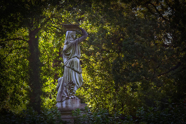In Anmut gekleidet / Pillnitz - © Helga Jaramillo Arenas - Fotografie und Poesie / November 2014