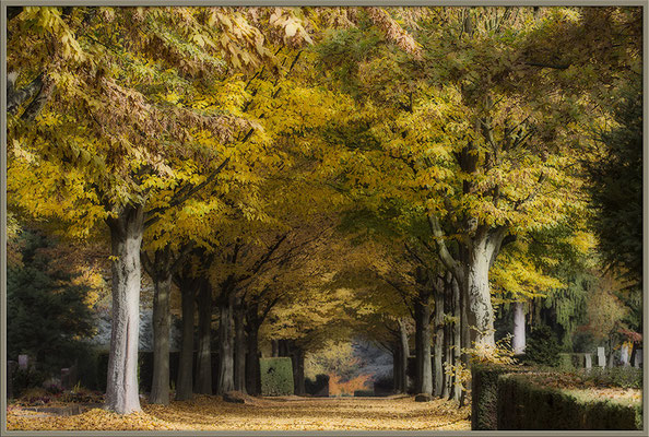 Flammender Herbst - © Helga Jaramillo Arenas - Fotografie und Poesie / Januar 2017