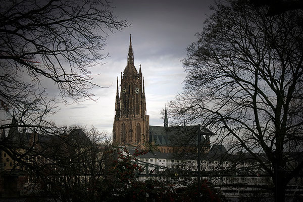 Wenn der Herbst die Stadt ergreift / Frankfurt am Main - © Helga Jaramillo Arenas - Fotografie und Poesie / August 2013