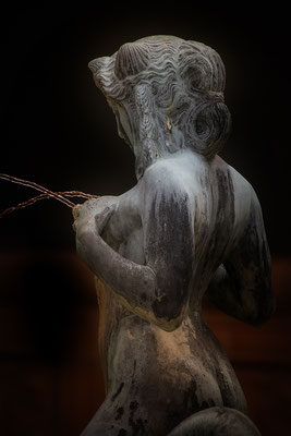 Die Bewußtheit über die eigenen Fähigkeiten (1) - © Helga Jaramillo Arenas - Fotografie und Poesie / September 2018