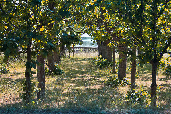 Der verwehrte Blick auf den See - © Helga Jaramillo Arenas - Fotografie und Poesie / Juni 2015