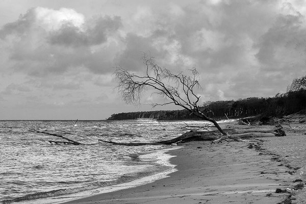 Wasser und Land (1) - © Helga Jaramillo Arenas - Fotografie und Poesie / Januar 2019