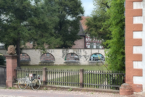 Über die Mauer - Seligenstadt - © Helga Jaramillo Arenas - Fotografie und Poesie / Juli 2025
