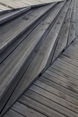 Auf dem Holzweg - © Helga Jaramillo Arenas - Fotografie und Poesie / April 2018