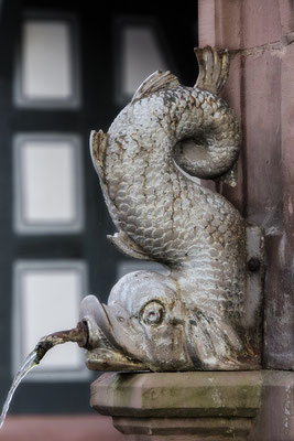 Am Fischbrunnen (2) / Höchst im Odenwald - © Helga Jaramillo Arenas - Fotografie und Poesie / August 2018