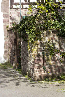 Schattenlichter - Unterwegs in Dreieich - © Helga Jaramillo Arenas - Fotografie und Poesie / April 2026