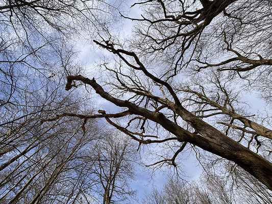Greifende Hände - © Helga Jaramillo Arenas - Fotografie und Poesie / März 2026