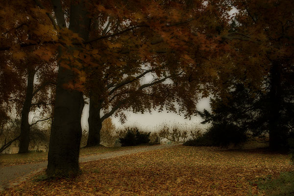 Herbstliche Wege - © Helga Jaramillo Arenas - Fotografie und Poesie / November 2017