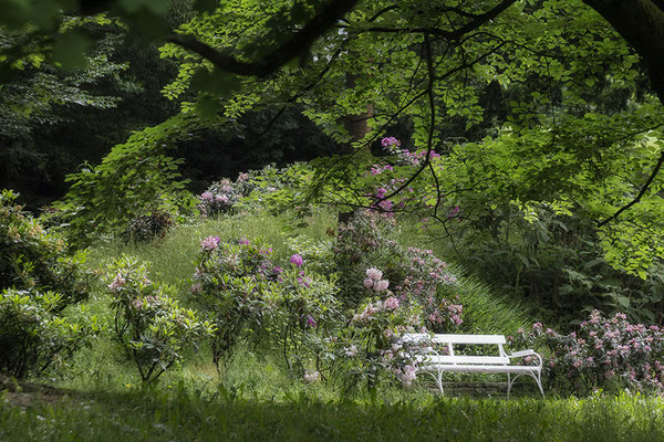 Vor dem Regen -  © Helga Jaramillo Arenas - Fotografie und Poesie / Juni 2021 