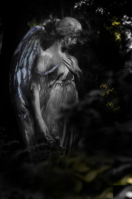 Lass Dir blaue Flügel wachsen -  © Helga Jaramillo Arenas - Fotografie und Poesie / Mai 2021