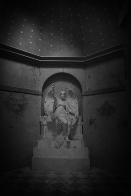 Sternengeflüster - © Helga Jaramillo Arenas - Fotografie und Poesie / März 2026