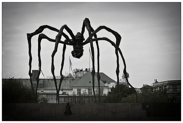Der Spinnenanbeter - © Helga Jaramillo Arenas - Fotografie und Poesie / Juni 2012