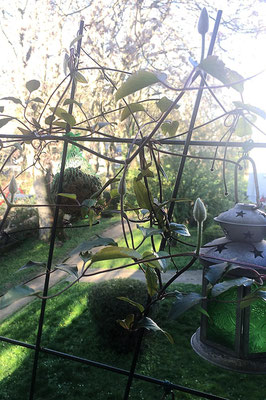 Blick über den Gartenzaun -  © Helga Jaramillo Arenas - Fotografie und Poesie / April 2023