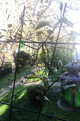 Blick über den Gartenzaun -  © Helga Jaramillo Arenas - Fotografie und Poesie / April 2023
