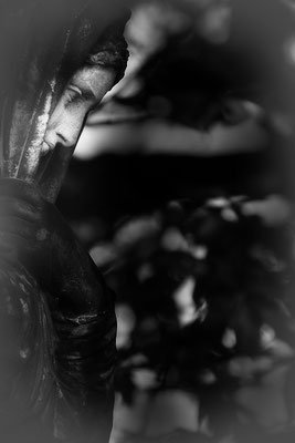 Zeit der Mutlosen -  © Helga Jaramillo Arenas - Fotografie und Poesie / April 2021