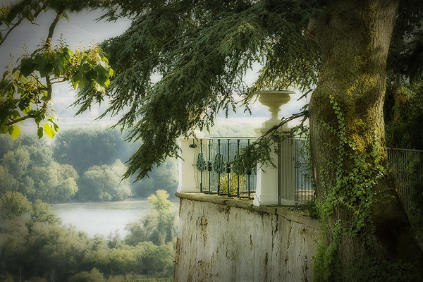 Es war einmal... - Schloß Johannisberg / Rheingau- © Helga Jaramillo Arenas - Fotografie und Poesie / September 2020