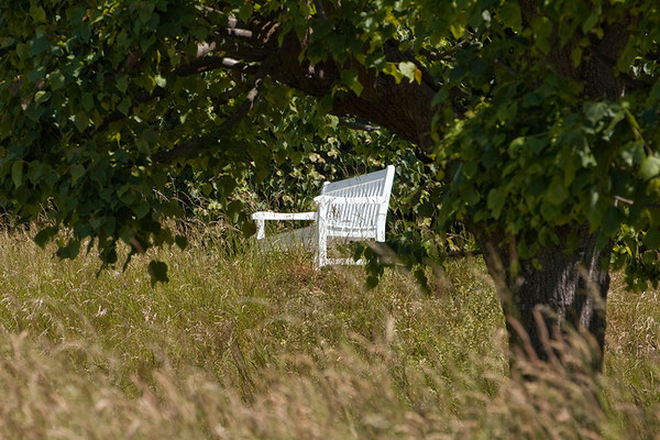 Orte, die dich verzaubern können - © Helga Jaramillo Arenas - Fotografie und Poesie / Juni 2015