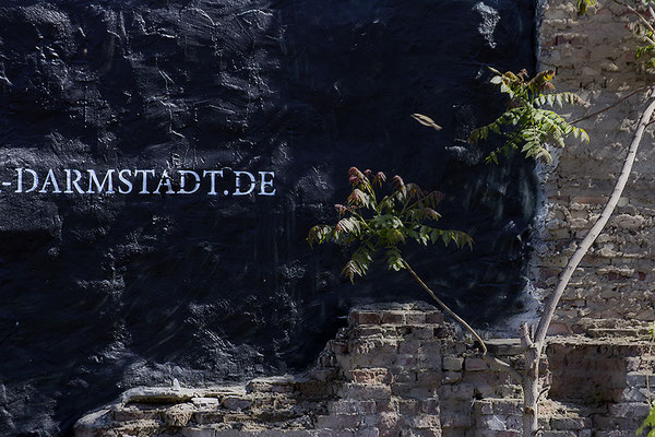 -Darmstadt.DE - © Helga Jaramillo Arenas - Fotografie und Poesie / Mai 2020