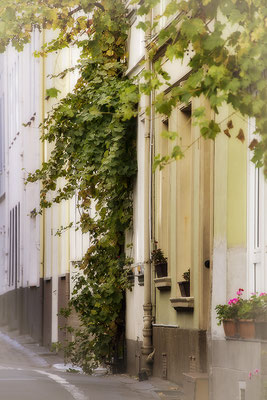 In der Weinstraße / Boppard am Rhein - © Helga Jaramillo Arenas - Fotografie und Poesie / Oktober 2018