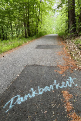 Der Weg der Dankbarkeit - © Helga Jaramillo Arenas - Fotografie und Poesie / Mai 2025