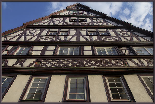 Hochgeschaut / Öhringen - © Helga Jaramillo Arenas - Fotografie und Poesie / Juli 2017
