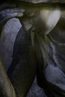 Bittere Erkenntnis (1) - © Helga Jaramillo Arenas - Fotografie und Poesie / Februar 2019